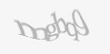 /component/jcomments/captcha/35733.html